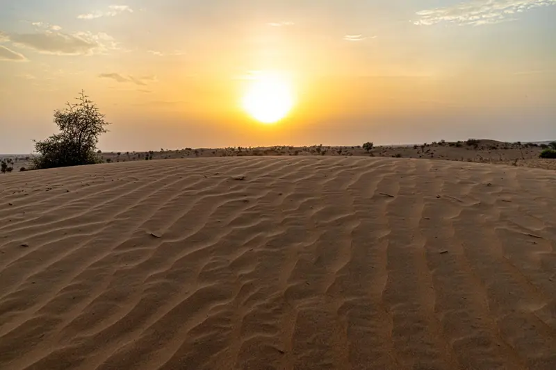 View of Thar Desert at golden hour in Sindh Pakistan