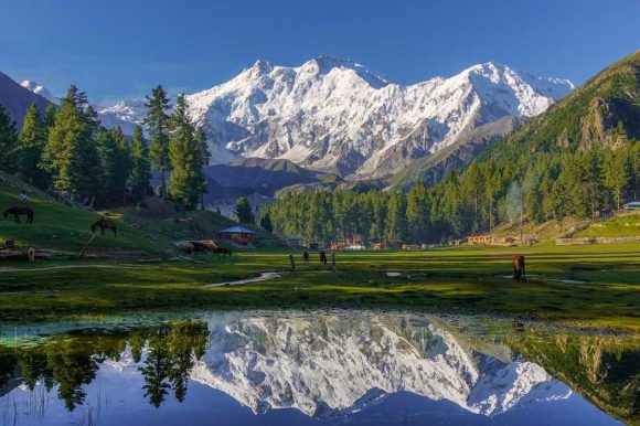 Fairy Meadows Fairy Meadows